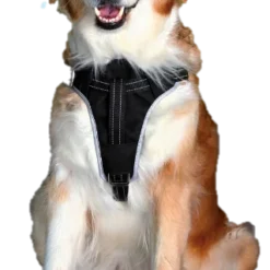 Trixie Harnais De Sécurité Dog Protect