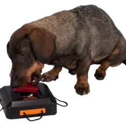 Trixie Jeu Interactif Pour Chiens Poker Box Level 1 -Trixie Soldes Magasin 15985 158049 51549 1