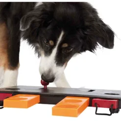 Trixie Activité Pour Chiens Move2Win Niveau 3 -Trixie Soldes Magasin 15995 pho pro dog clip 32025 1 6