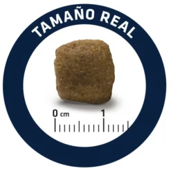 Advance Vet Diets Articular 16 Advance Vet Diets Articular -Trixie Soldes Magasin 160877 5 6