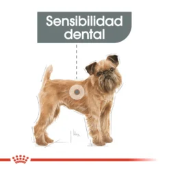 Royal Canin Mini Dental Care -Trixie Soldes Magasin 165508 2 2