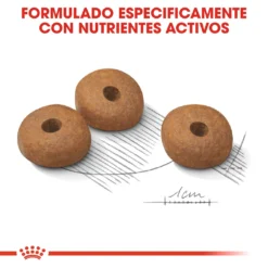 Royal Canin Medium Light Weight Care -Trixie Soldes Magasin 165676 rc ccn lightmed cv eretailkit 5 es es 5