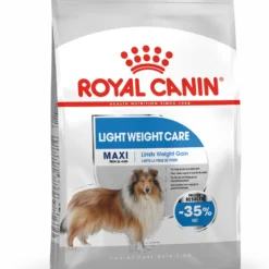 Royal Canin Maxi Light Pour La Gestion Du Poids En Taille Plus -Trixie Soldes Magasin 165677 maxi light ccn packshot med res basic 1