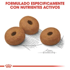 Royal Canin Maxi Light Pour La Gestion Du Poids En Taille Plus -Trixie Soldes Magasin 165677 rc ccn lightmaxi cv eretailkit 5 es es 5