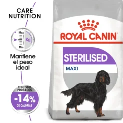 Royal Canin Maxi Sterilised Aliments Pour Chiens Adultes De Grande Taille