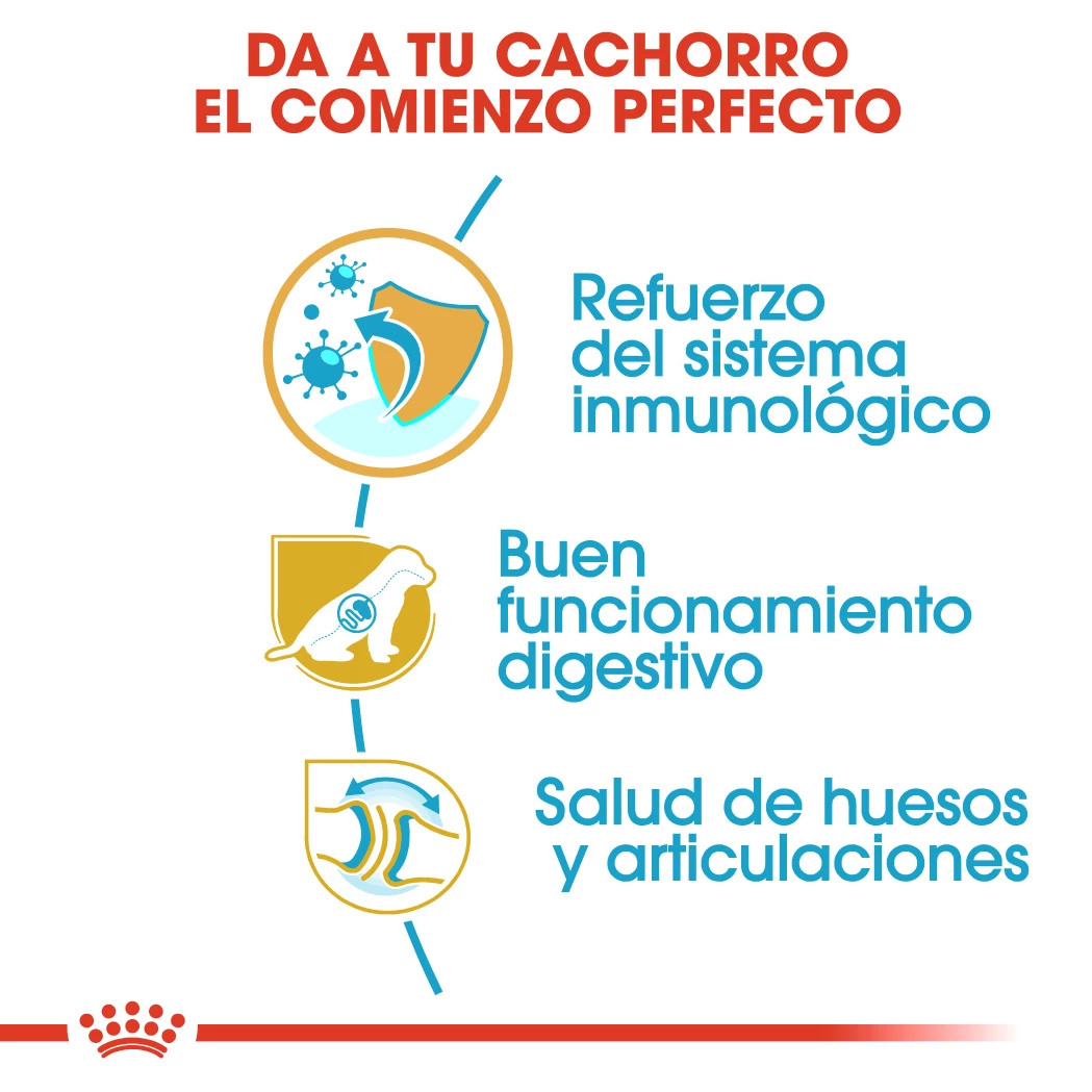 Royal Canin German Shepherd Puppy Aliment Pour Chiots Berger Allemand 7 Royal Canin German Shepherd Puppy Aliment Pour Chiots Berger Allemand – Image 5