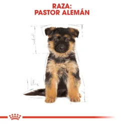 Royal Canin German Shepherd Puppy Aliment Pour Chiots Berger Allemand 16 Royal Canin German Shepherd Puppy Aliment Pour Chiots Berger Allemand -Trixie Soldes Magasin 167 6 5