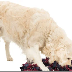 Trixie Activité Sniffing Mat 22 Trixie Activité Sniffing Mat -Trixie Soldes Magasin 167836 pho pro dog clip 32037 2 9