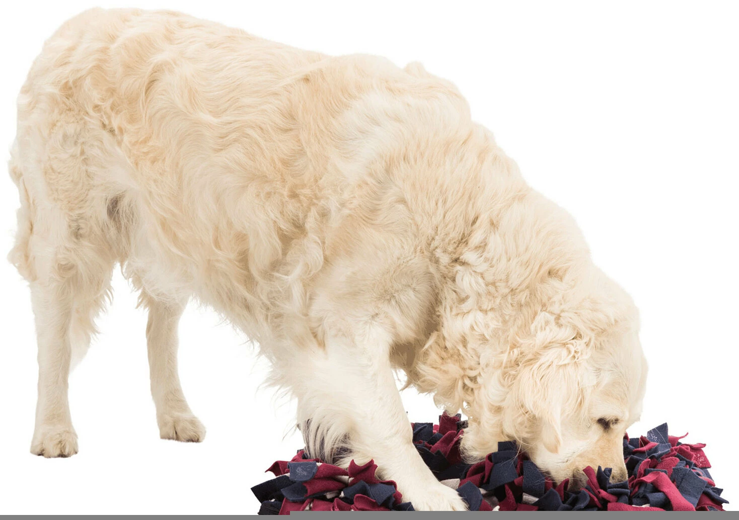 Trixie Activité Sniffing Mat 12 Trixie Activité Sniffing Mat – Image 10