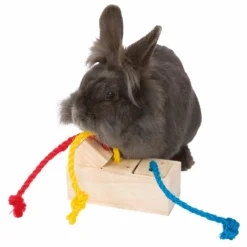 Trixie Seau à Casse-croûte, Interactif, Bois, 16X16X7Cm -Trixie Soldes Magasin 168067 4011905628158 3 3