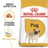 Royal Canin Tourteau Pug Adult 1 Royal Canin Tourteau Pug Adult -Trixie Soldes Magasin 169 1 0