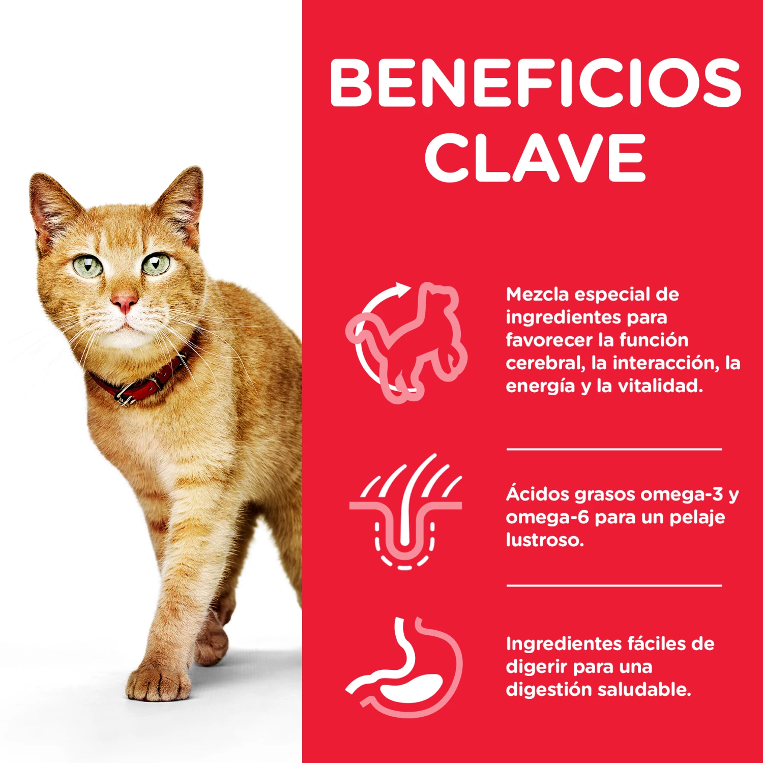 Lot 12 Hill's Science Plan Mature Adult 7+ Youthful Vitality Sachets 4 Lot 12 Hill's Science Plan Mature Adult 7+ Youthful Vitality Sachets – Image 2