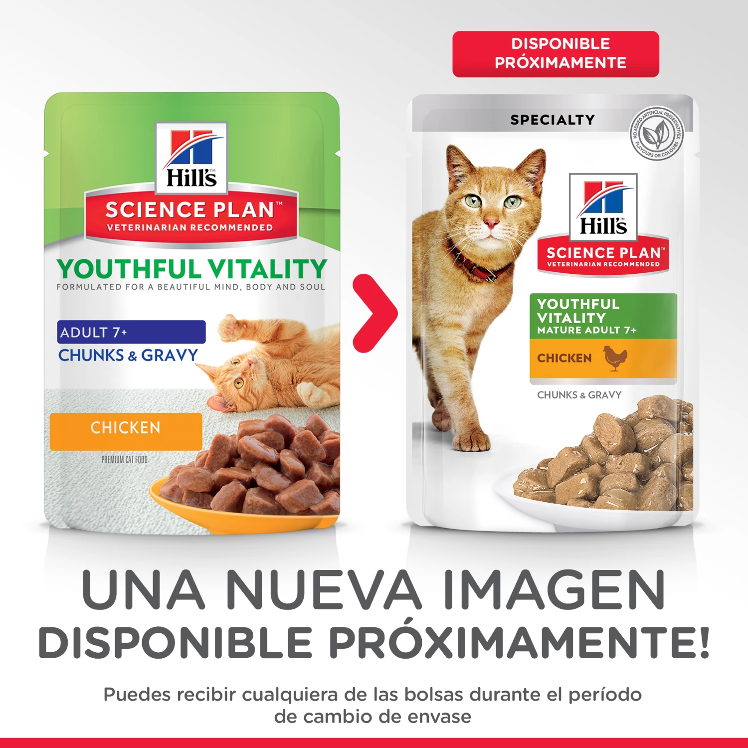 Lot 12 Hill's Science Plan Mature Adult 7+ Youthful Vitality Sachets 5 Lot 12 Hill's Science Plan Mature Adult 7+ Youthful Vitality Sachets – Image 3