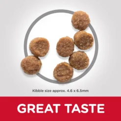 Hill's Science Plan Small & Mini Puppy Au Poulet -Trixie Soldes Magasin 171494 atf10 52742281704 food shot 5 8