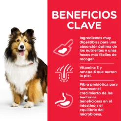 Hill's Science Plan Adult Sensitive Stomach & Skin Au Poulet -Trixie Soldes Magasin 171532 52742025131 4 6