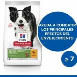 Hill's Science Plan Medium Mature Adult 7+ Senior Vitality Au Poulet 11 Hill's Science Plan Medium Mature Adult 7+ Senior Vitality Au Poulet -Trixie Soldes Magasin 171534 52742026107 2 1