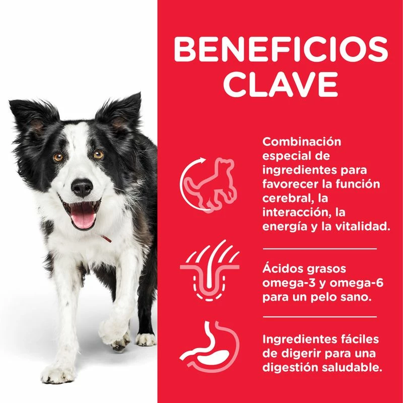 Hill's Science Plan Medium Mature Adult 7+ Senior Vitality Au Poulet 5 Hill's Science Plan Medium Mature Adult 7+ Senior Vitality Au Poulet – Image 3