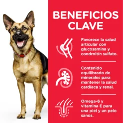 Hill's Science Plan Large Mature Adult 6+ Au Poulet -Trixie Soldes Magasin 171536 52742183008 3 6