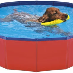 Nayeco Piscine Pour Chiens