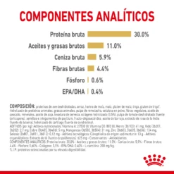 Royal Canin Croquettes Pour Chien Labrador Retriever Ageing 5+ Senior 12 Royal Canin Croquettes Pour Chien Labrador Retriever Ageing 5+ Senior -Trixie Soldes Magasin 174676 rc spt dry lab5 cv 3 es es 4