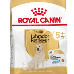 Royal Canin Croquettes Pour Chien Labrador Retriever Ageing 5+ Senior 9 Royal Canin Croquettes Pour Chien Labrador Retriever Ageing 5+ Senior -Trixie Soldes Magasin 174676 rc spt dry lab5 mv 2 es es 1