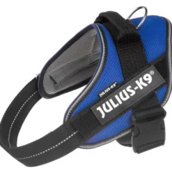 Julius K9 Verano Azul Powair