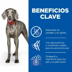 Hill's Science Plan Large Adult No Grain Au Poulet Sans Céréales 12 Hill's Science Plan Large Adult No Grain Au Poulet Sans Céréales -Trixie Soldes Magasin 175005 52742037233 3 2