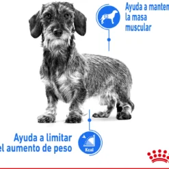 Royal Canin Soins Légers X-Small Pour La Gestion Du Poids Des Chiens Miniatures 12 Royal Canin Soins Légers X-Small Pour La Gestion Du Poids Des Chiens Miniatures -Trixie Soldes Magasin 175531 3 2