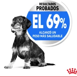 Royal Canin Soins Légers X-Small Pour La Gestion Du Poids Des Chiens Miniatures 13 Royal Canin Soins Légers X-Small Pour La Gestion Du Poids Des Chiens Miniatures -Trixie Soldes Magasin 175531 4 3