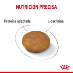 Royal Canin Soins Légers X-Small Pour La Gestion Du Poids Des Chiens Miniatures 14 Royal Canin Soins Légers X-Small Pour La Gestion Du Poids Des Chiens Miniatures -Trixie Soldes Magasin 175531 5 4