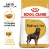 Royal Canin Tourteau Rottweiler Adult -Trixie Soldes Magasin 180 1 0