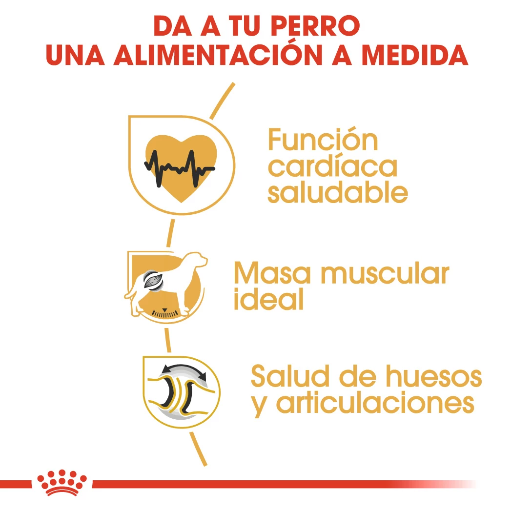 Royal Canin Tourteau Rottweiler Adult 7 Royal Canin Tourteau Rottweiler Adult – Image 5