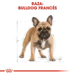 Royal Canin French Bulldog Adult Pour Chien Adulte Bouledogue Français -Trixie Soldes Magasin 181 3 2