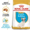 Royal Canin French Bulldog Puppy Aliment Pour Chiots Bouledogue Français -Trixie Soldes Magasin 183 1 0