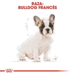 Royal Canin French Bulldog Puppy Aliment Pour Chiots Bouledogue Français -Trixie Soldes Magasin 183 6 5