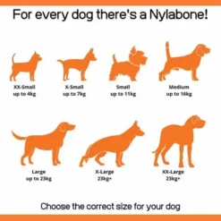 Nylabone Extreme Chew Barbell L 9 Nylabone Extreme Chew Barbell L -Trixie Soldes Magasin 186512 interpet nylabone welpen dental kauknochen 1stck hs 05 4 6477657980d61