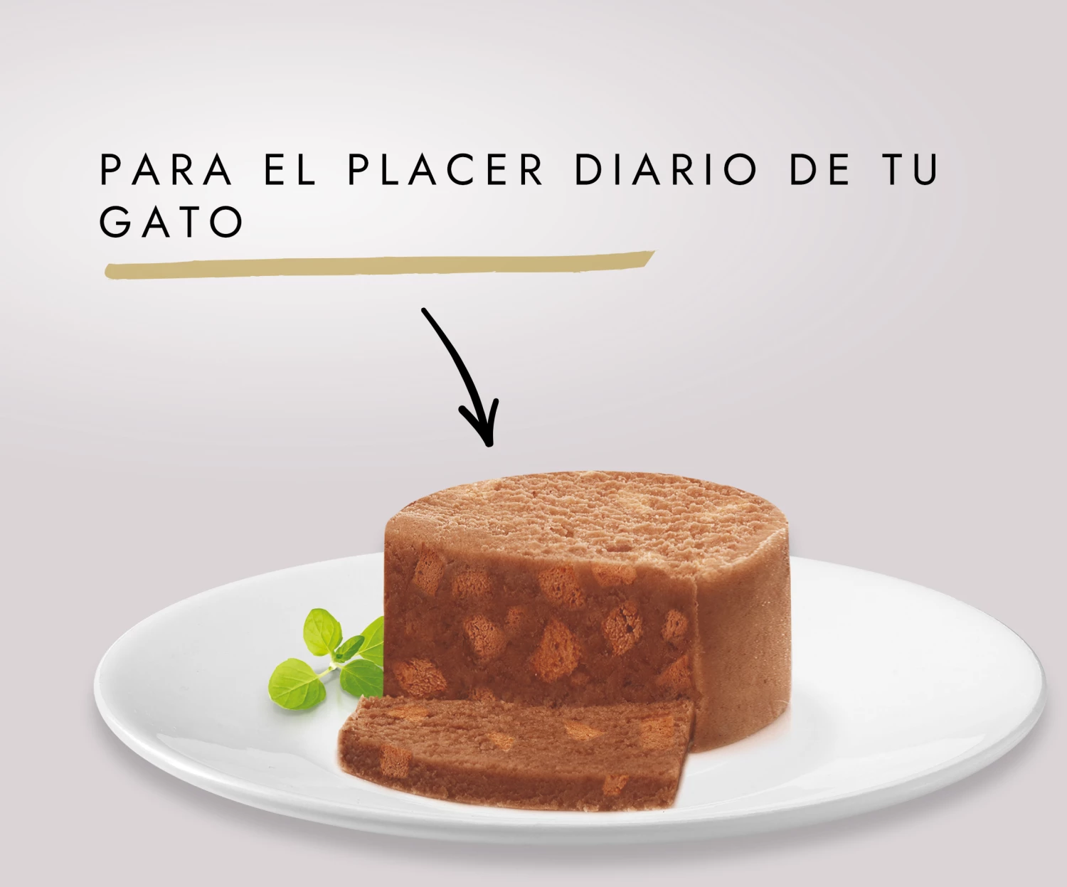 Lot 24 Gourmet Gold Terrine De Poulet 4 Lot 24 Gourmet Gold Terrine De Poulet – Image 2