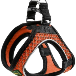 Hunter Harnais Confort Harnais Orange