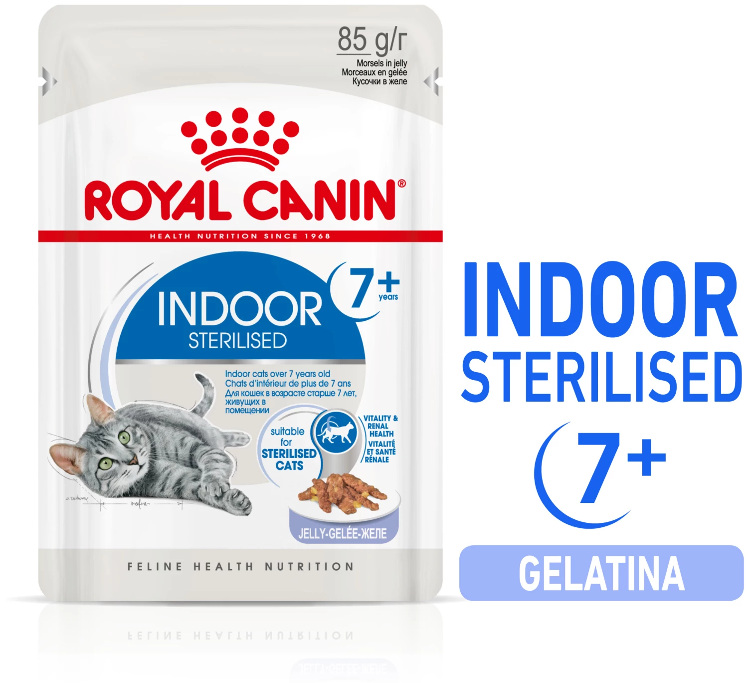 Lot 12 Royal Canin Indoor Gravy 3 Lot 12 Royal Canin Indoor Gravy