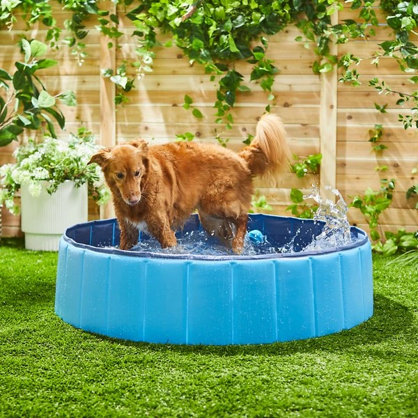 Trixie Piscine Pour Chiens 6 Trixie Piscine Pour Chiens – Image 4