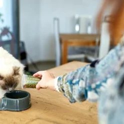 HPM Veterinary U2 Urology Dissolution & Prevention 8 HPM Veterinary U2 Urology Dissolution & Prevention -Trixie Soldes Magasin 2018 03 07 47 64256c53d313b