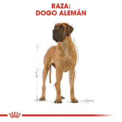 Royal Canin Nourriture Great Dane Adult -Trixie Soldes Magasin 204 2 2