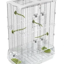 Vision Cage Modèle M02