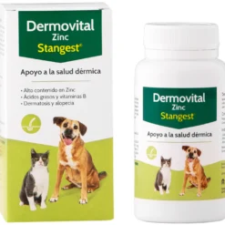 Stangest Dermovital Zinc 60 Comp