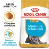 Royal Canin Miniature Schnauzer Junior 2 Royal Canin Miniature Schnauzer Junior -Trixie Soldes Magasin 22239 1 0