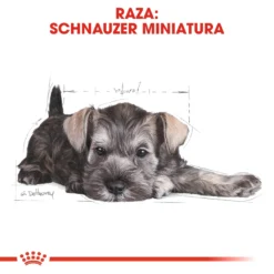 Royal Canin Miniature Schnauzer Junior -Trixie Soldes Magasin 22239 6 5
