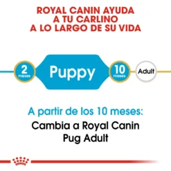 Royal Canin Pug Junior -Trixie Soldes Magasin 22240 3 2