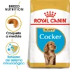 Royal Canin Cocker Puppy Aliment Pour Chiots -Trixie Soldes Magasin 22241 1 0