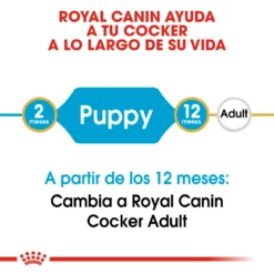 Royal Canin Cocker Puppy Aliment Pour Chiots 13 Royal Canin Cocker Puppy Aliment Pour Chiots -Trixie Soldes Magasin 22241 3 2