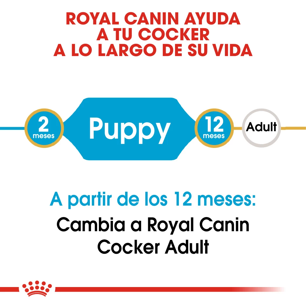 Royal Canin Cocker Puppy Aliment Pour Chiots 5 Royal Canin Cocker Puppy Aliment Pour Chiots – Image 3